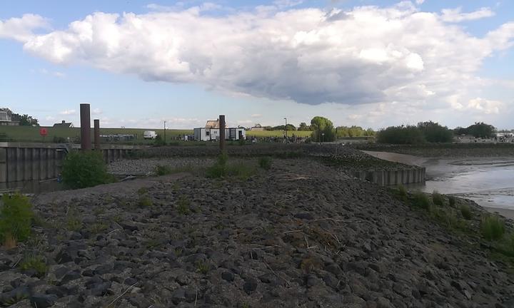 Strandfloh Bielenberg